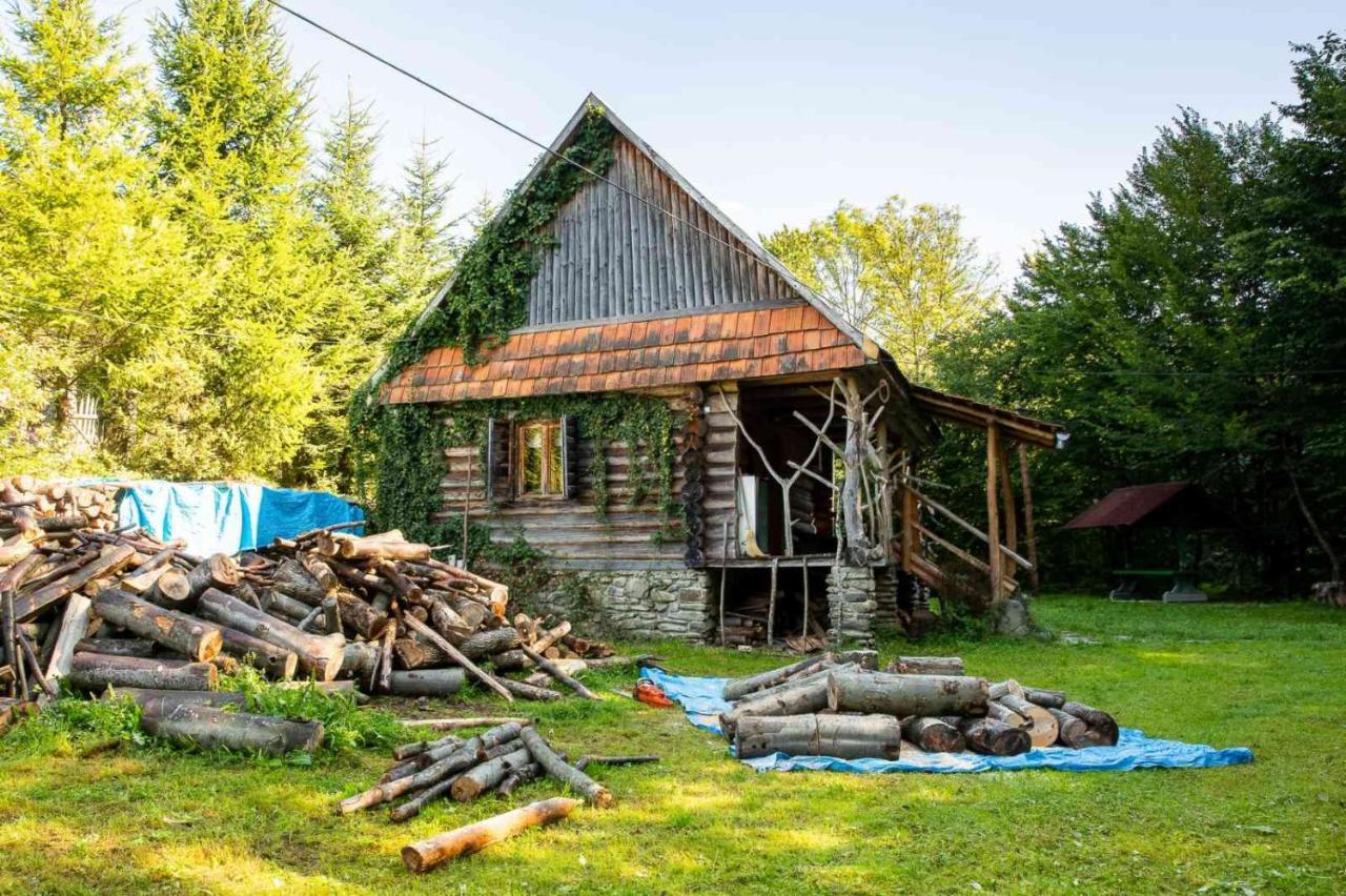 Вилла Хатина біля потока Лумшоры Экстерьер фото
